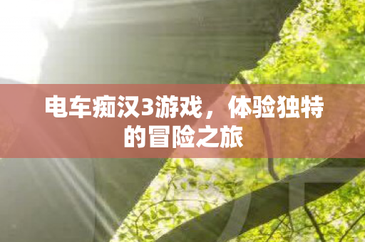 电车痴汉3游戏，体验独特的冒险之旅