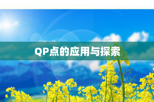 QP点的应用与探索