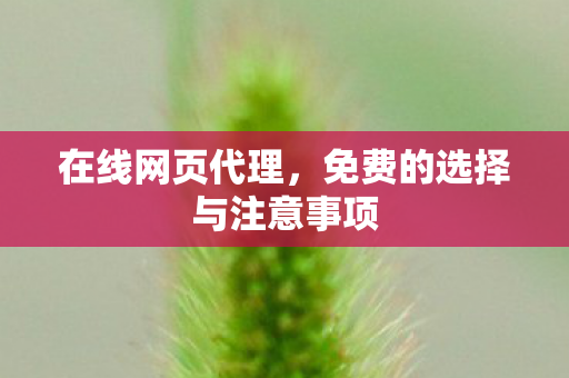 在线网页代理，免费的选择与注意事项