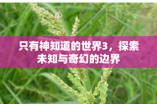 只有神知道的世界3，探索未知与奇幻的边界