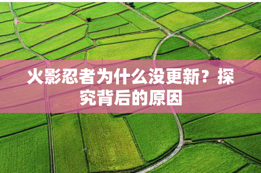 火影忍者为什么没更新？探究背后的原因