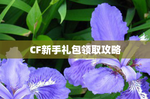 CF新手礼包领取攻略