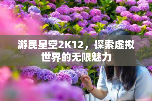 游民星空2K12，探索虚拟世界的无限魅力