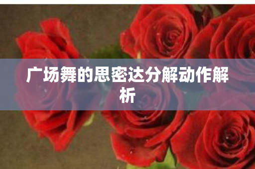 广场舞的思密达分解动作解析