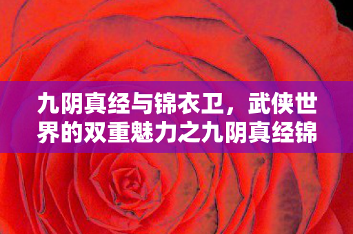 九阴真经与锦衣卫,武侠世界的双重魅力之九阴真经锦衣卫2内解析 九阴真经与锦衣卫,武侠世界的双重魅力之九阴真经锦衣卫2内解析