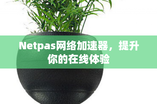 Netpas网络加速器，提升你的在线体验