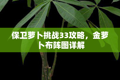 保卫萝卜挑战33攻略,金萝卜布阵图详解 保卫萝卜挑战33攻略,金萝卜布阵图详解