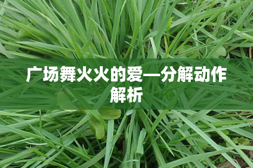 广场舞火火的爱—分解动作解析