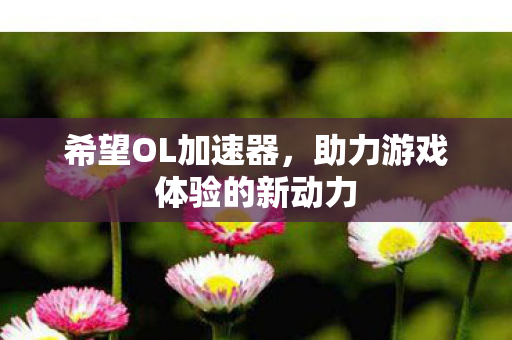 希望OL加速器，助力游戏体验的新动力