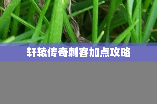 轩辕传奇刺客加点攻略 轩辕传奇刺客加点攻略