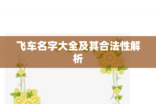 飞车名字大全及其合法性解析