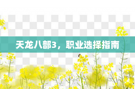 天龙八部3，职业选择指南