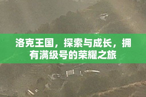 洛克王国，探索与成长，拥有满级号的荣耀之旅