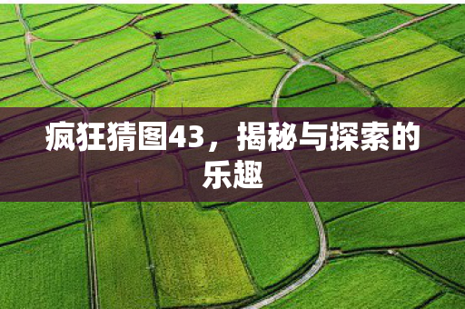 疯狂猜图43，揭秘与探索的乐趣