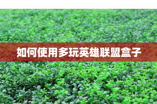如何使用多玩英雄联盟盒子