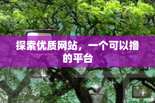 探索优质网站，一个可以撸的平台