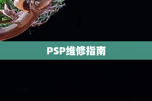 PSP维修指南