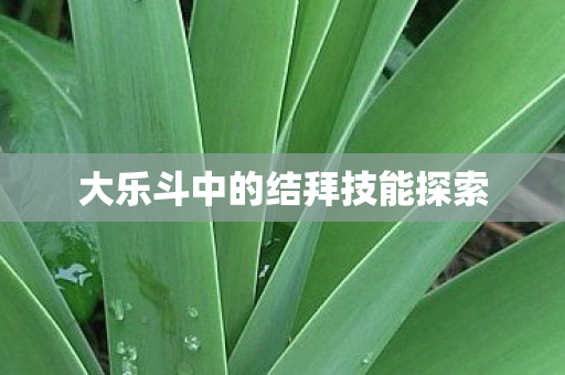 大乐斗中的结拜技能探索 大乐斗中的结拜技能探索