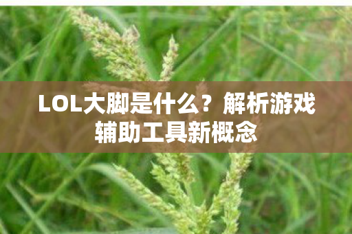 LOL大脚是什么?解析游戏辅助工具新概念 LOL大脚是什么?解析游戏辅助工具新概念
