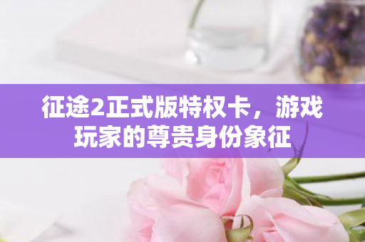 征途2正式版特权卡，游戏玩家的尊贵身份象征