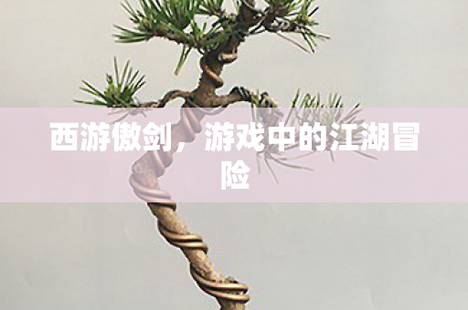 西游傲剑，游戏中的江湖冒险