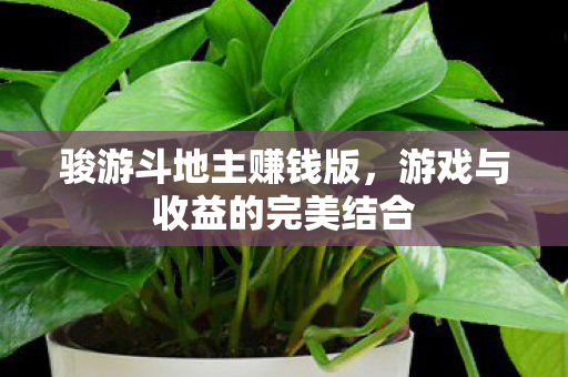 骏游斗地主赚钱版，游戏与收益的完美结合