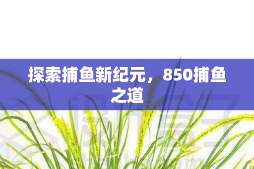 探索捕鱼新纪元，850捕鱼之道