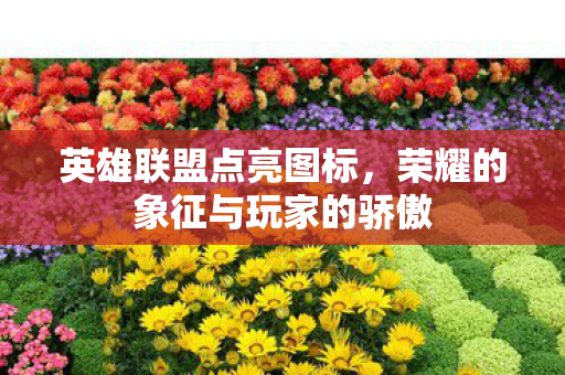 英雄联盟点亮图标,荣耀的象征与玩家的骄傲 英雄联盟点亮图标,荣耀的象征与玩家的骄傲