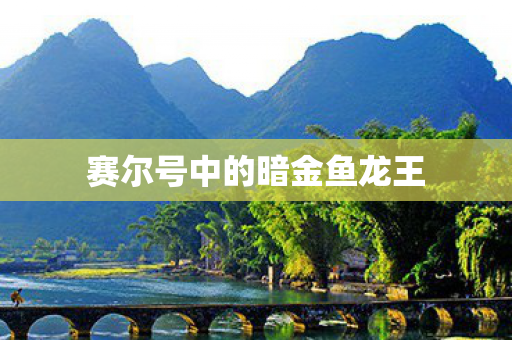 赛尔号中的暗金鱼龙王