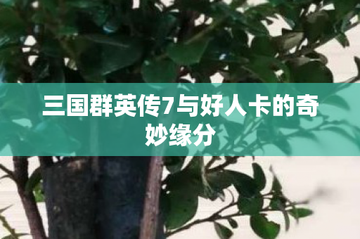 三国群英传7与好人卡的奇妙缘分 三国群英传7与好人卡的奇妙缘分