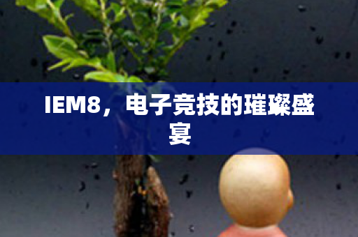 IEM8，电子竞技的璀璨盛宴