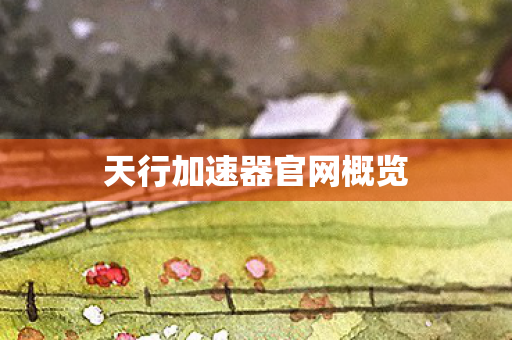 天行加速器官网概览