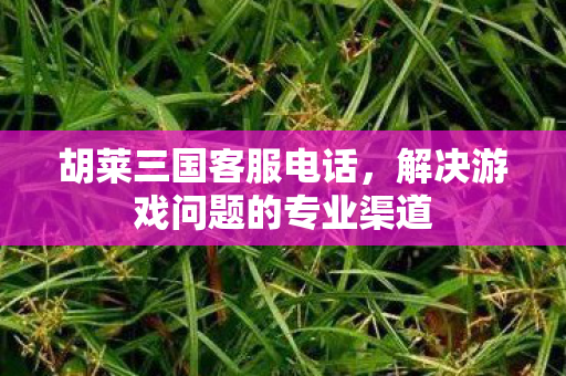 胡莱三国客服电话，解决游戏问题的专业渠道