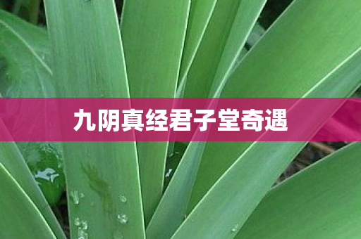 九阴真经君子堂奇遇