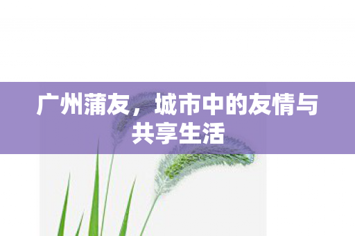 广州蒲友,城市中的友情与共享生活 广州蒲友,城市中的友情与共享生活