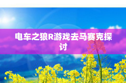 电车之狼R游戏去马赛克探讨 电车之狼R游戏去马赛克探讨