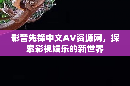影音先锋中文AV资源网，探索影视娱乐的新世界