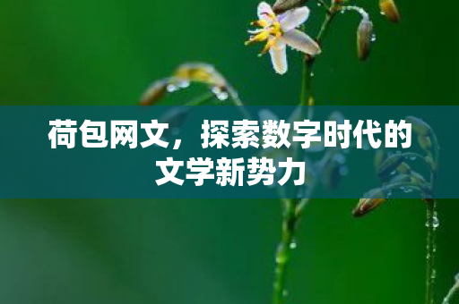 荷包网文，探索数字时代的文学新势力
