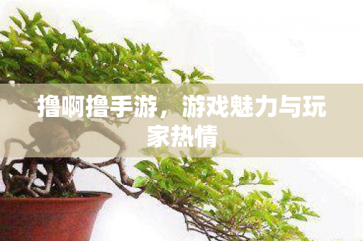 撸啊撸手游，游戏魅力与玩家热情