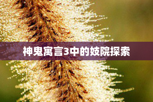神鬼寓言3中的妓院探索