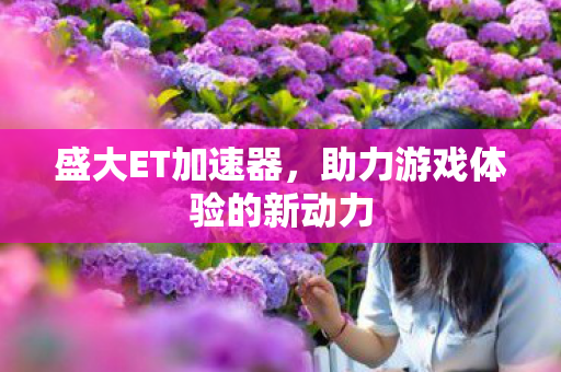 盛大ET加速器,助力游戏体验的新动力 盛大ET加速器,助力游戏体验的新动力