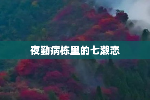 夜勤病栋里的七濑恋 夜勤病栋里的七濑恋