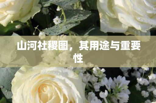 山河社稷图，其用途与重要性