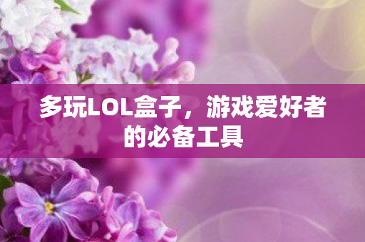 多玩LOL盒子，游戏爱好者的必备工具