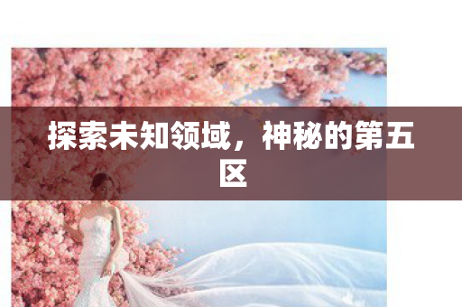 探索未知领域,神秘的第五区 探索未知领域,神秘的第五区