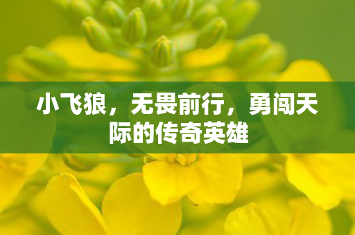 小飞狼，无畏前行，勇闯天际的传奇英雄