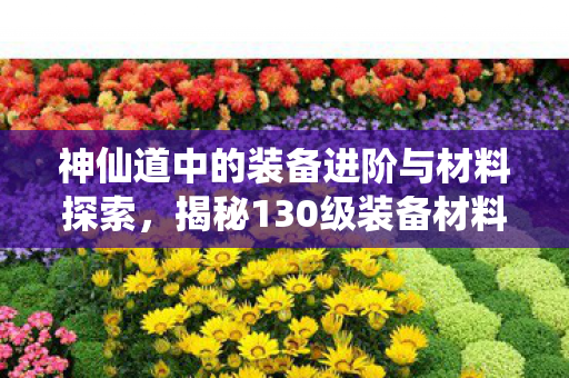 神仙道中的装备进阶与材料探索，揭秘130级装备材料获取攻略
