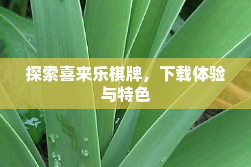 探索喜来乐棋牌,下载体验与特色 探索喜来乐棋牌,下载体验与特色