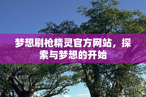 梦想刷枪精灵官方网站,探索与梦想的开始 梦想刷枪精灵官方网站,探索与梦想的开始