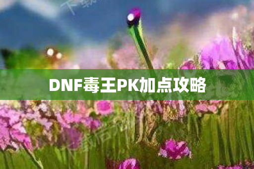 DNF毒王PK加点攻略 DNF毒王PK加点攻略